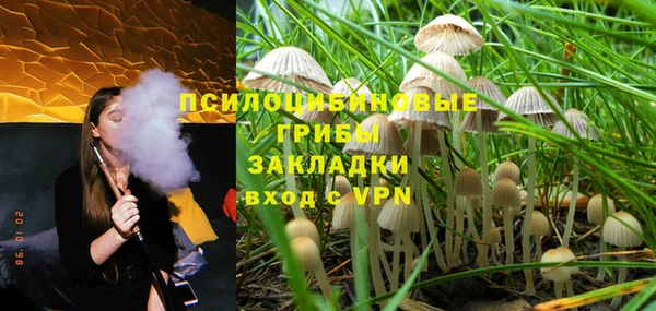 гашик Абинск